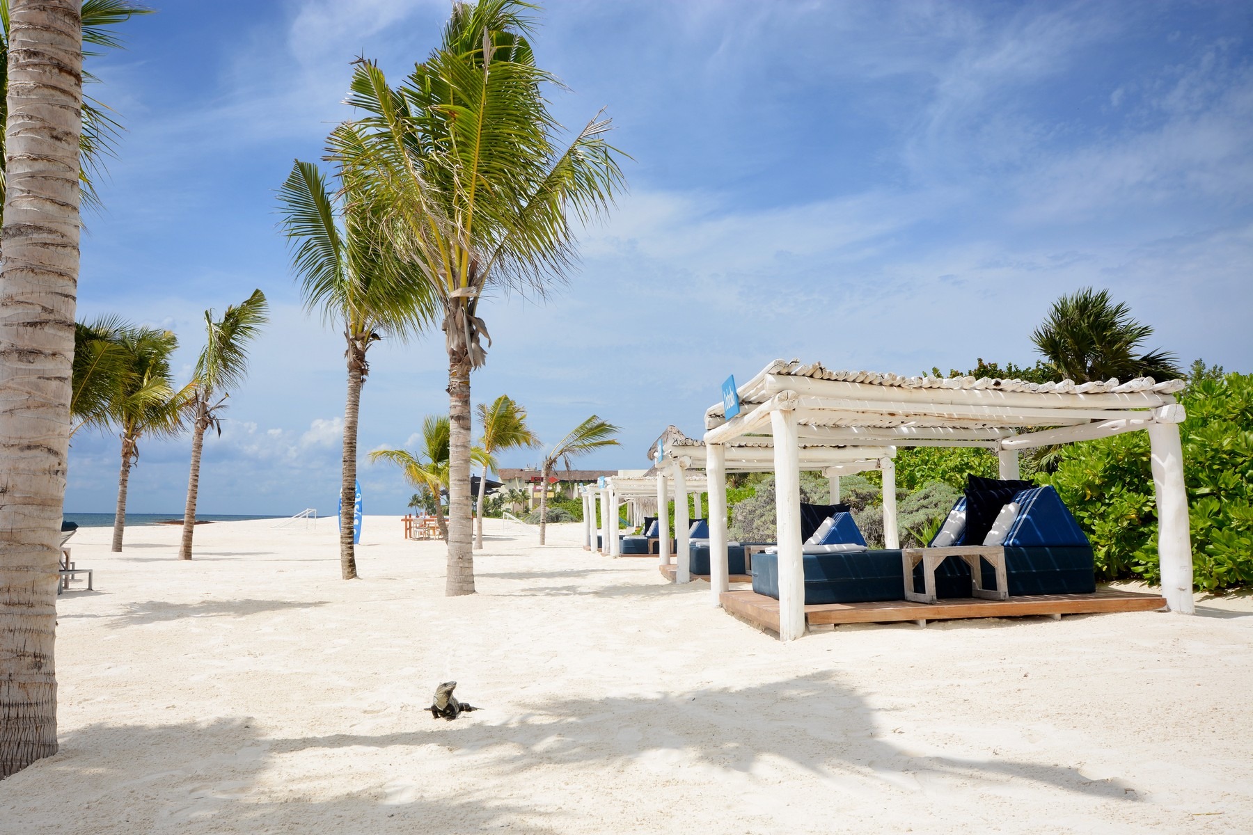 Banyan Tree beach lounge